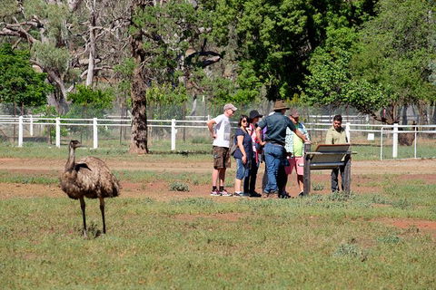 Yura Udnyu - Our Culture, Your Culture (Aboriginal Cultural Walk) - Events Australia 5