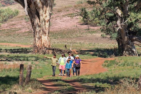 Yura Udnyu - Our Culture, Your Culture (Aboriginal Cultural Walk) - Events Australia 1