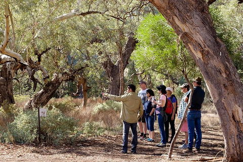 Yura Udnyu - Our Culture, Your Culture (Aboriginal Cultural Walk) - Events Australia 8