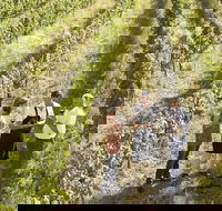 Beyond The Velvet Rope - Behind the Scenes Tour - Tourism Bookings