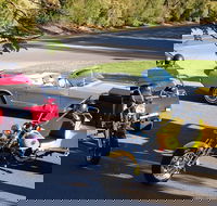 Ultimate Barossa Adventure Day Tour For 2 - Combined Mustang Convertible-Trike - Tourism Bookings