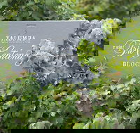 Yalumba Nursery  Grenache Discovery Tour  Platter Lunch - Tourism Bookings