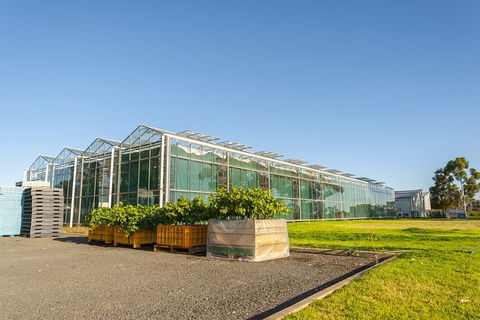 Yalumba Nursery & Grenache Discovery Tour + Platter Lunch - Tourism Bookings 5