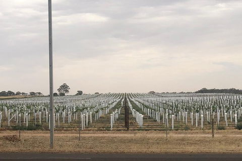 Intimate Wine Experience - Adelaide Hills - Events Australia 7