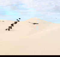 Kangaroo Island 2 Hour Bike Tour - Events Australia