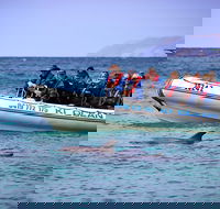 Kangaroo Island 75-Minute Ocean Safari - Events Australia