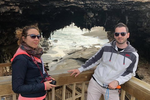 NEW TOUR - Flinders Chase Tour (Recovering From Fires) - Accommodation Europe 1