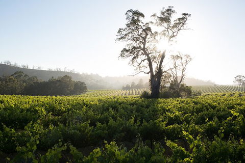 Estate Tour From Soil To Glass - Events Australia 2