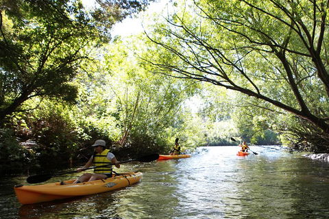 Paddle With The Platypus Twilight Kayak Adventure - Events Australia 0