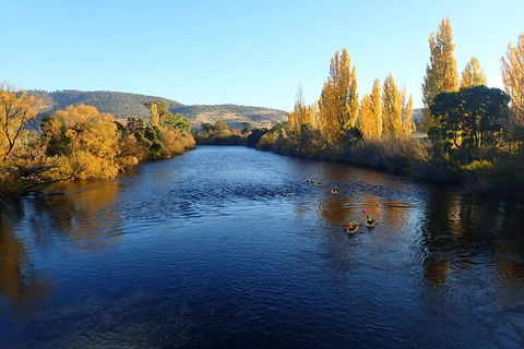 Paddle With The Platypus Twilight Kayak Adventure - Events Australia 3