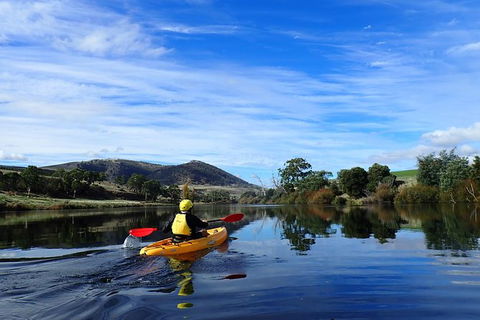 Paddle With The Platypus Twilight Kayak Adventure - Events Australia 5