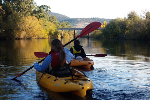 Paddle With The Platypus Twilight Kayak Adventure - Events Australia 1