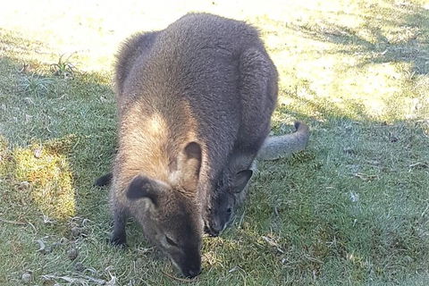 Cradle Mountain Day Tour - Events Australia 4