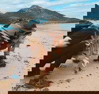 Freycinet Walking Tour - Events Australia