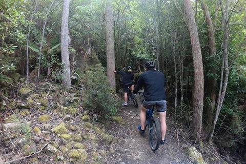 Explore Downhill Mountain In 3-Hour Bike Tour From Hobart - Events Australia 5