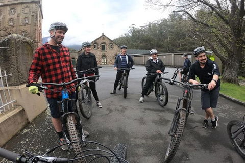 Explore Downhill Mountain In 3-Hour Bike Tour From Hobart - Events Australia 3