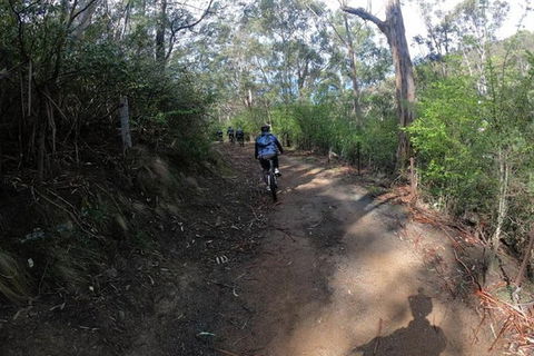 Explore Downhill Mountain In 3-Hour Bike Tour From Hobart - Events Australia 1