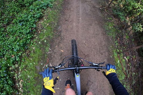 Explore Downhill Mountain In 3-Hour Bike Tour From Hobart - Events Australia 4