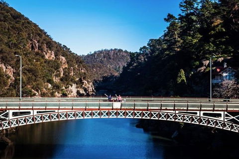 3.5 Hours Walking Tour To Cataract Gorge With Local Guide - Tourism Bookings 5