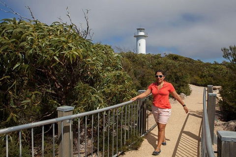 Half-Day Tour To Wineglass Bay From Launceston With Guide - Tourism Bookings 2