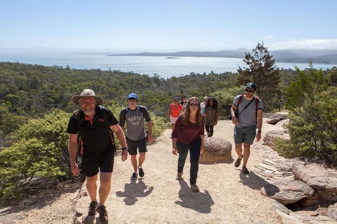 Half-Day Tour To Wineglass Bay From Launceston With Guide - Tourism Bookings 4