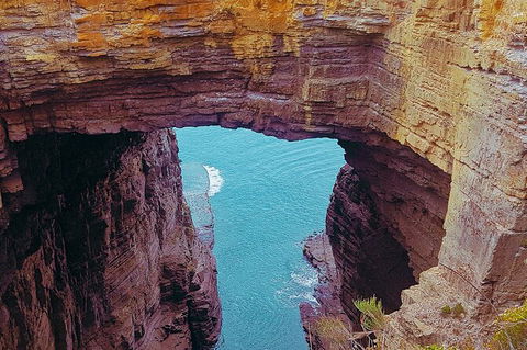 4-Day Fabulous Tasmania Tour: Wineglass Bay, Port Arthur, Devils & Bruny Island - Tourism Bookings 6