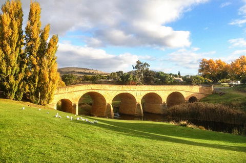4-Day Fabulous Tasmania Tour: Wineglass Bay, Port Arthur, Devils & Bruny Island - Tourism Bookings 7