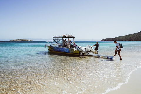 Sea & Explore Wineglass Bay & Freycinet National Park - Cruise & Walk - Tourism Bookings 3