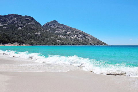 Sea & Explore Wineglass Bay & Freycinet National Park - Cruise & Walk - Tourism Bookings 4