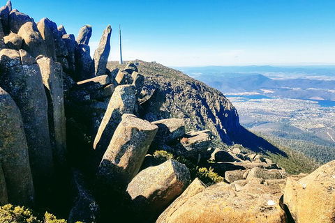 Mt. Wellington Morning Hike + Afternoon Beer & History Walk - Tourism Bookings 11