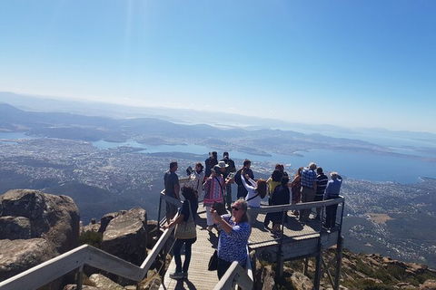Mt. Wellington Morning Hike + Afternoon Beer & History Walk - Tourism Bookings 2
