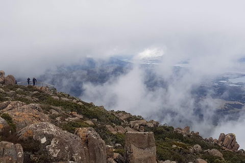 Mt. Wellington Morning Hike + Afternoon Beer & History Walk - Tourism Bookings 18