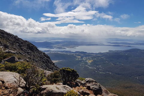 Mt. Wellington Morning Hike + Afternoon Beer & History Walk - Tourism Bookings 5