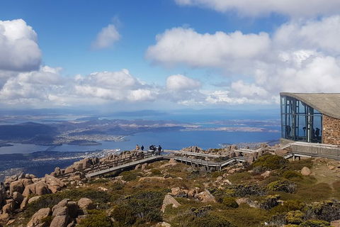 Mt. Wellington Morning Hike + Afternoon Beer & History Walk - Tourism Bookings 3