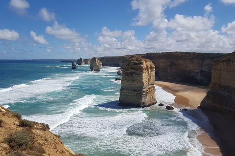Private Great Ocean Road Day Trip From Melbourne - Events Australia 6