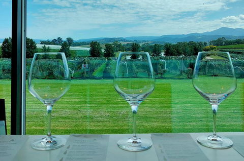 Yarra Valley Cellar Door And Gin Day - Events Australia 2