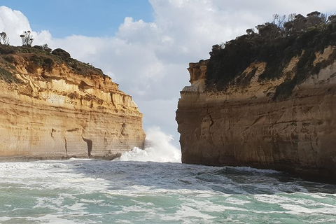 Shipwreck Coast Tour From Warrnambool - Events Australia 1