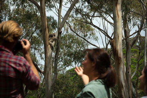 Indigenous Culture And Nature Tour - Events Australia 2