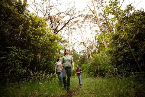 Indigenous Culture And Nature Tour - Events Australia 6