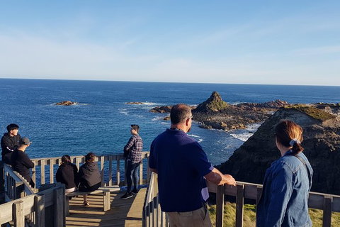 Phillip Island Private Experience - Events Australia 24