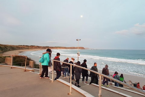 Phillip Island Private Experience - Events Australia 4