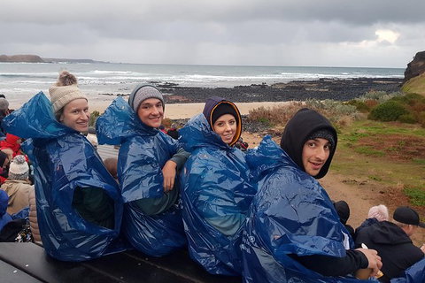 Phillip Island Private Experience - Events Australia 20