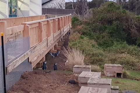 Phillip Island Private Experience - Events Australia 13