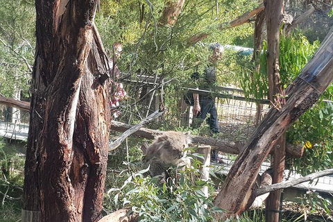 Phillip Island Private Experience - Events Australia 7