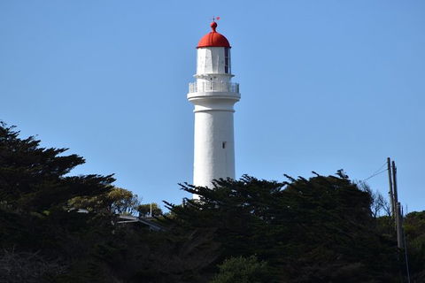 Great Ocean Road Tour Plus Koalas, Forest Walk And Morning Tea. - Events Australia 1