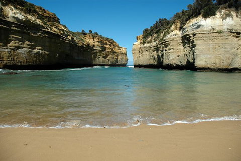 Great Ocean Road Tour Plus Koalas, Forest Walk And Morning Tea. - Events Australia 4