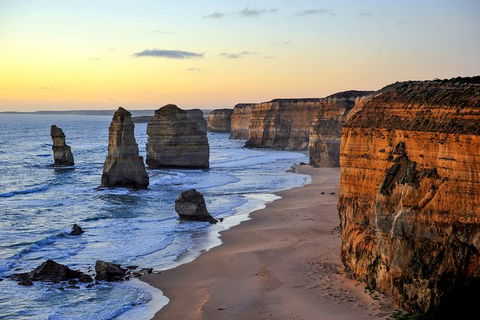 Great Ocean Road Tour Plus Koalas, Forest Walk And Morning Tea. - Events Australia 0