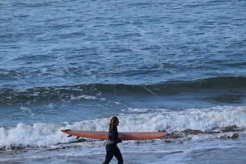 Great Ocean Road Tour Plus Koalas, Forest Walk And Morning Tea. - Events Australia 8