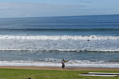 Great Ocean Road Tour Plus Koalas, Forest Walk And Morning Tea. - Events Australia 9