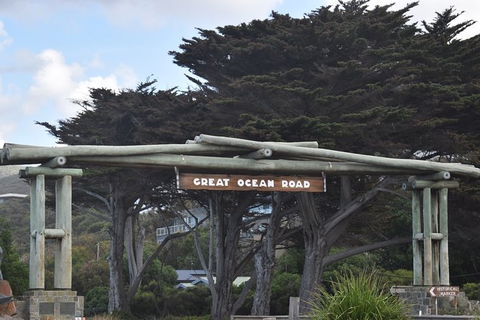 Great Ocean Road Tour Plus Koalas, Forest Walk And Morning Tea. - Events Australia 7